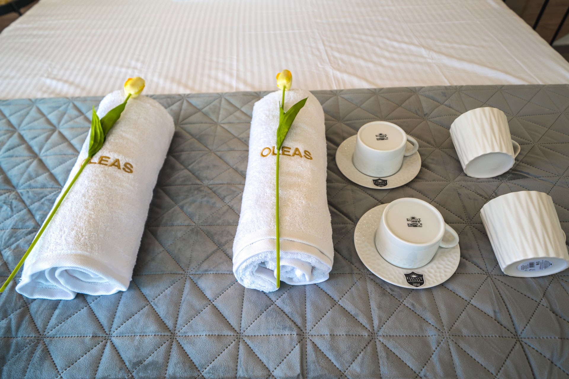 
Oleas Suites Heraklion Crete Premium Suite 01