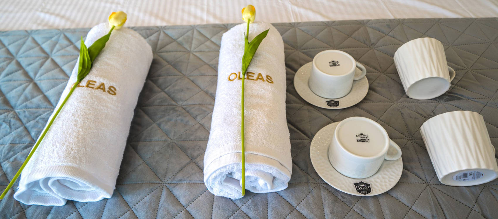 Oleas Suites Heraklion Crete Premium Suite 01